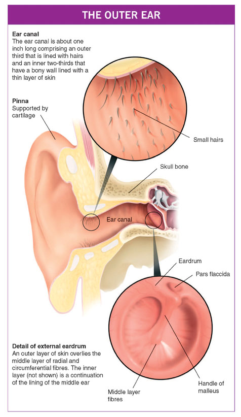 Hard Bump On Ear Cartilage - Doctor insights on HealthTap
