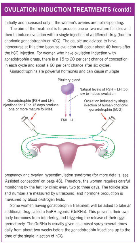 ovulation induction 4