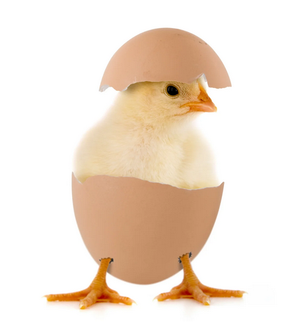 Nature’s most perfect foods