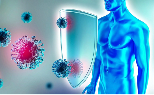 Immunity - Simplified